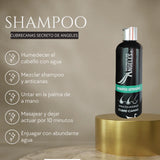 SHAMPOO INTENSO - CUBRE CANAS