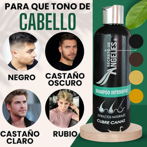 SHAMPOO INTENSO - CUBRE CANAS